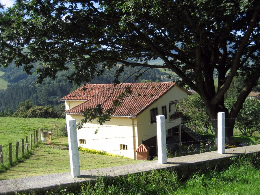 TEJADO ANTES