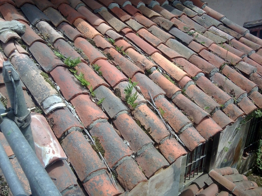 tejado viejo