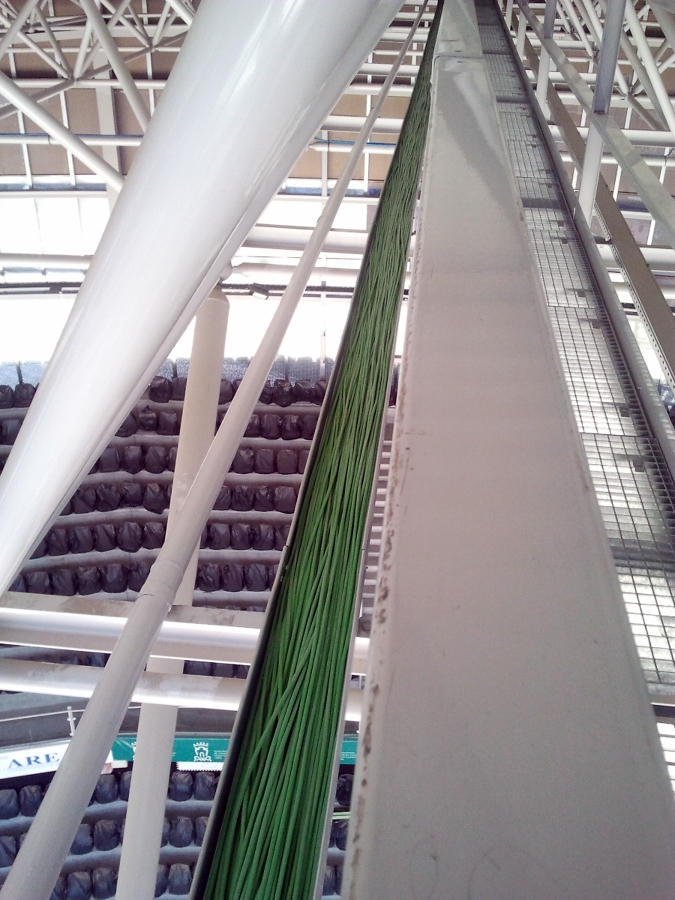 Tendido de canaleta y cable en la plaza de Toros de Vitoria