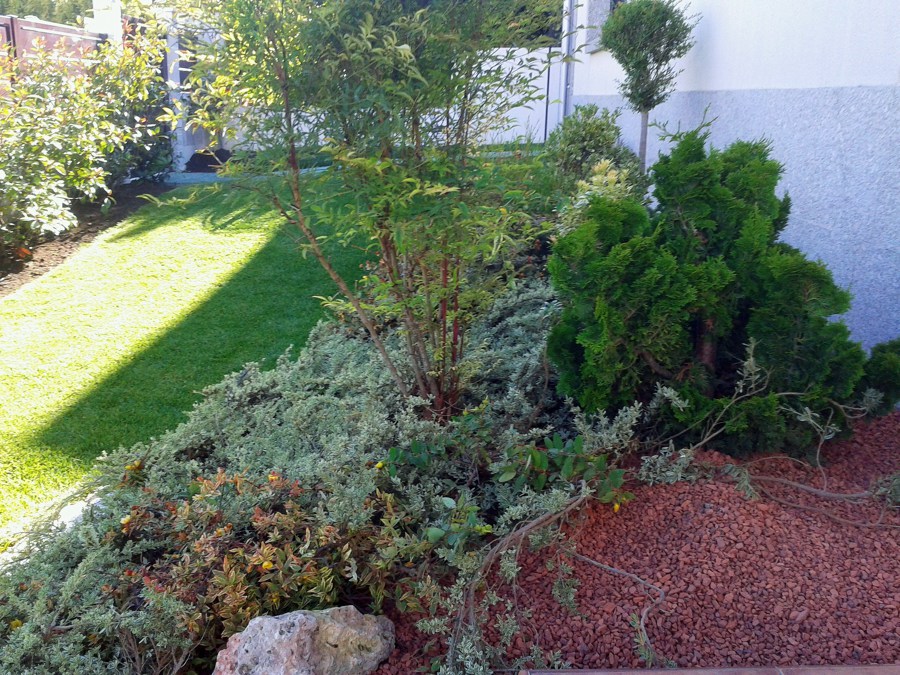 tepe recien plantado y rocalla perfecta