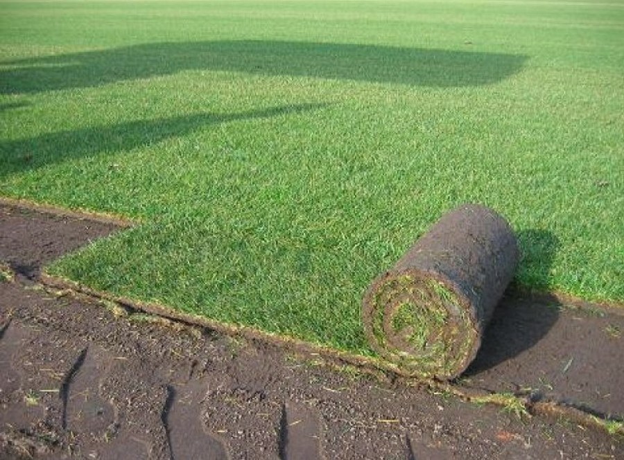 Colocación de rollos de Tepes de césped