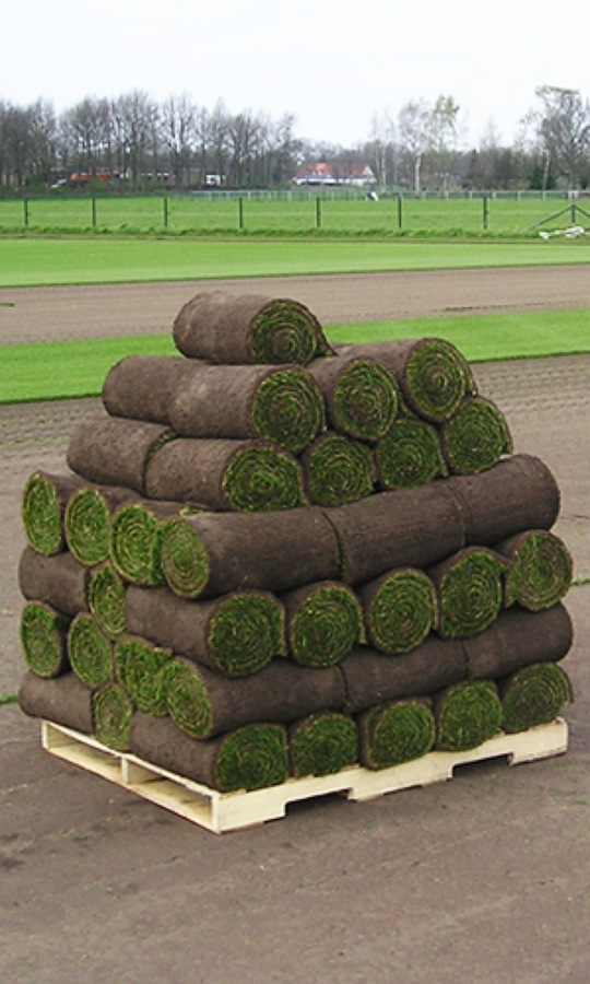 Palet de rollos de tepe