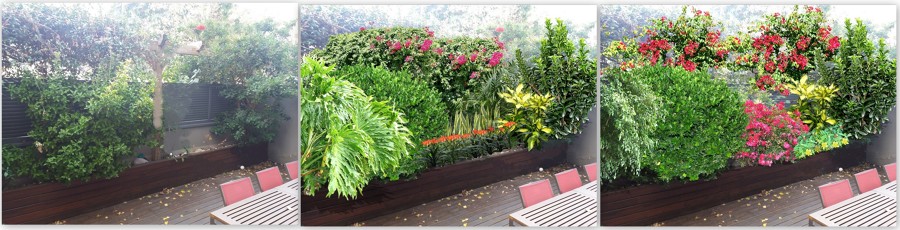 Una idea para una terraza interior