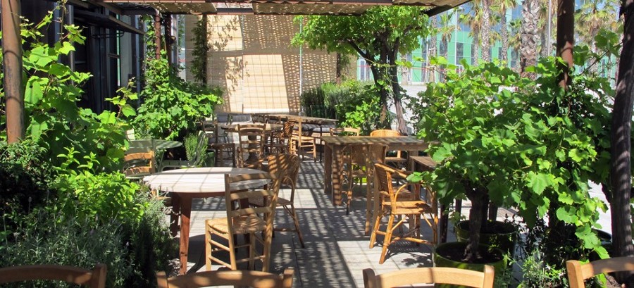 Terraza bar-restaurante El Gallito