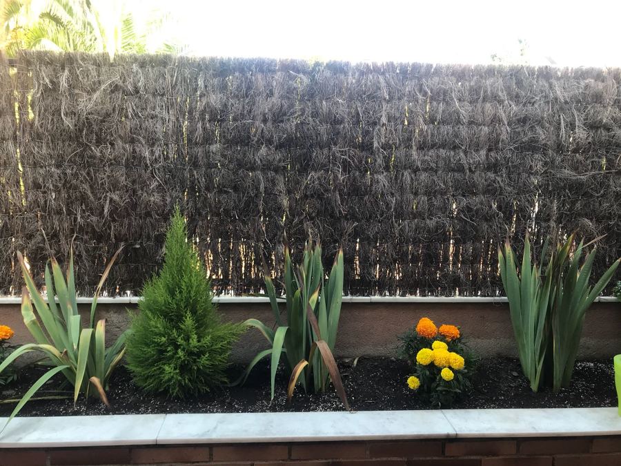 Sustitución de tierra y plantación de especies vegetales