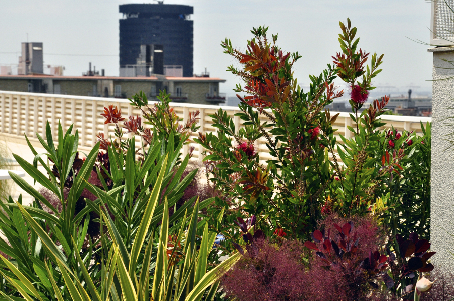 Terraza comunidad en Sant Gervasi