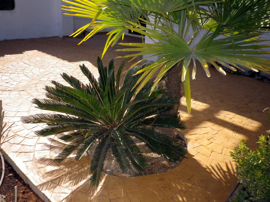 Terraza hormigon impreso