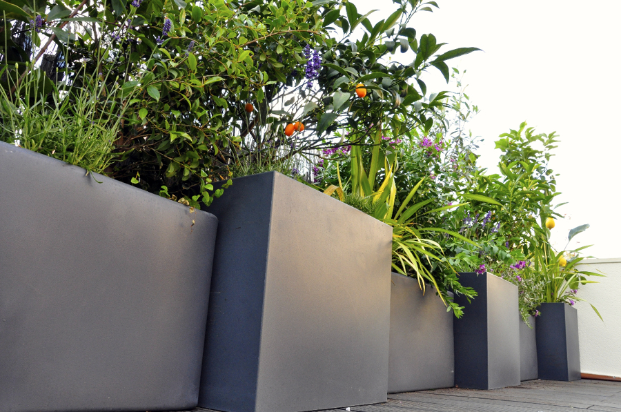 Terraza Sant Joan Despi