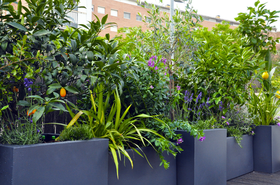 Terraza Sant Joan Despi