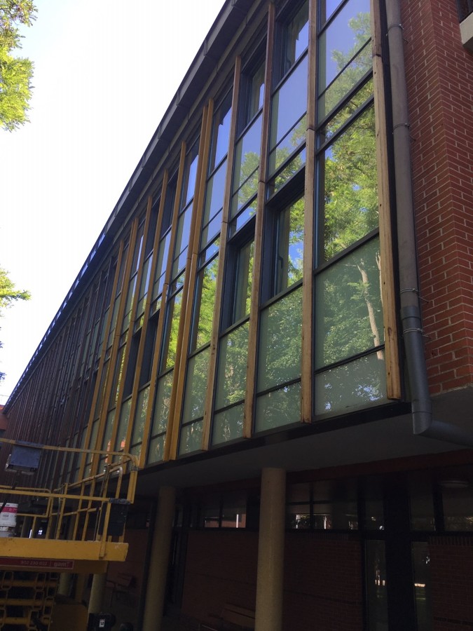 Renovación de maderas grisaces.