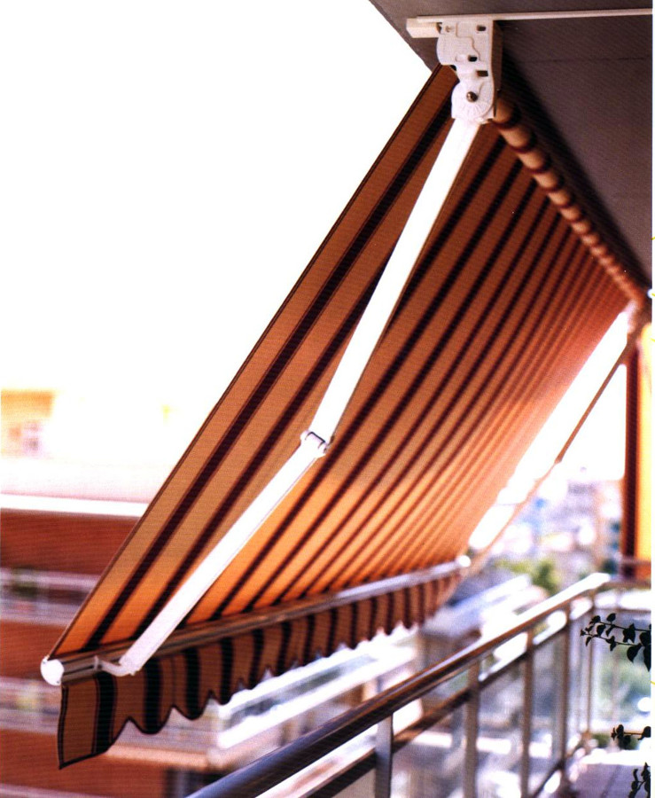 Toldo Brazo articulado