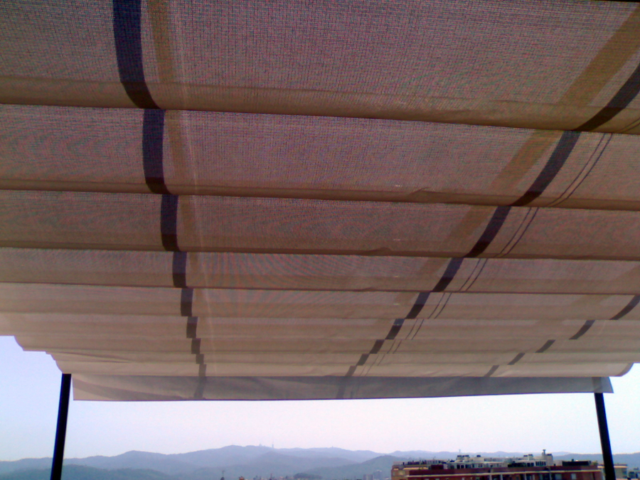Toldo
