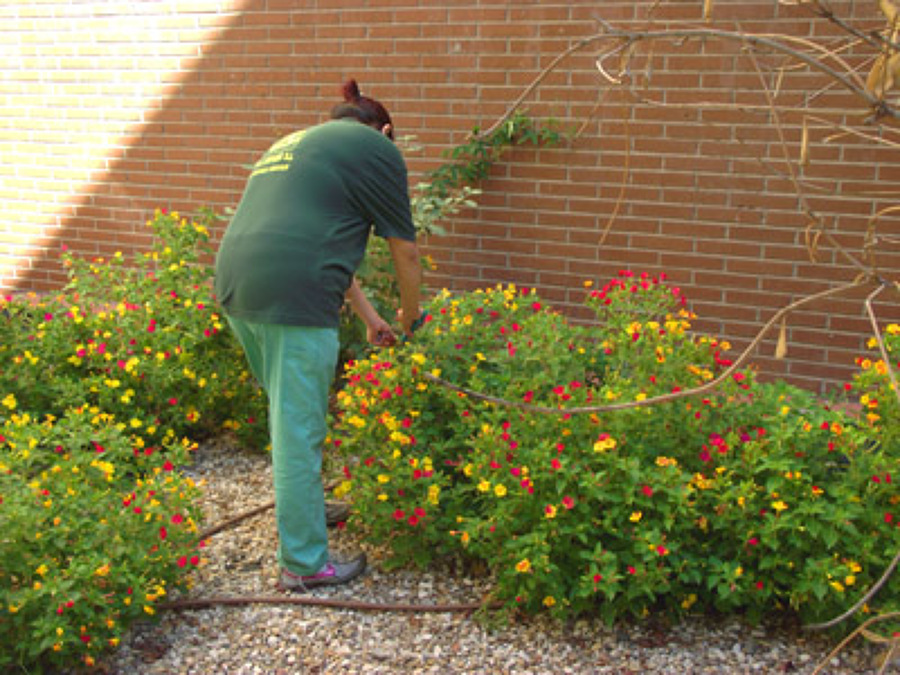 Trabajos de jardineris