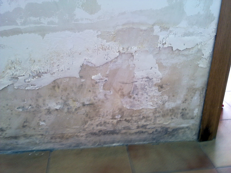 Tratamiento de humedades, mojo y hongos.