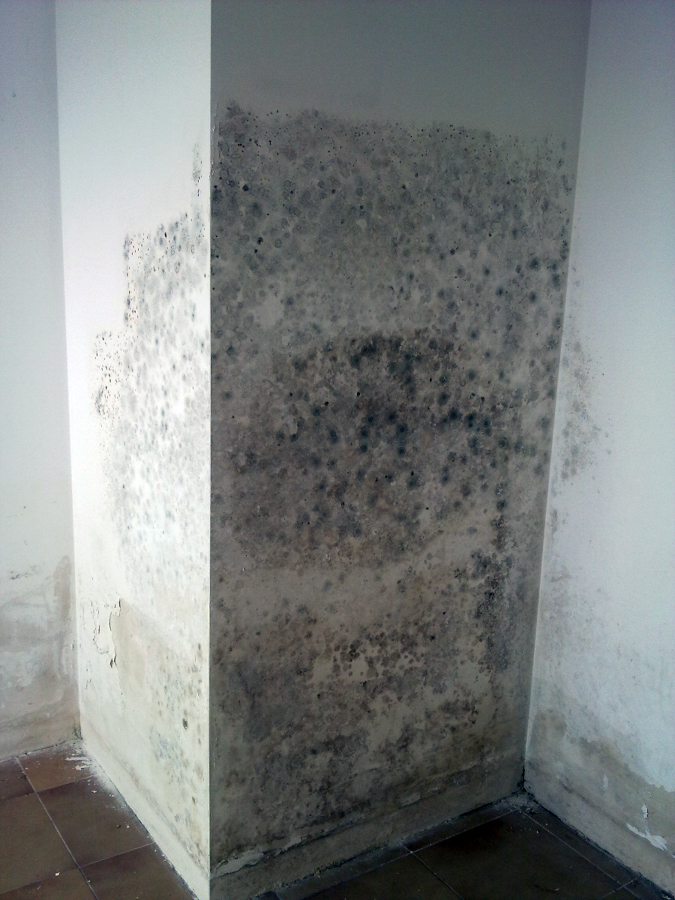 Tratamiento de humedades, mojo y hongos..