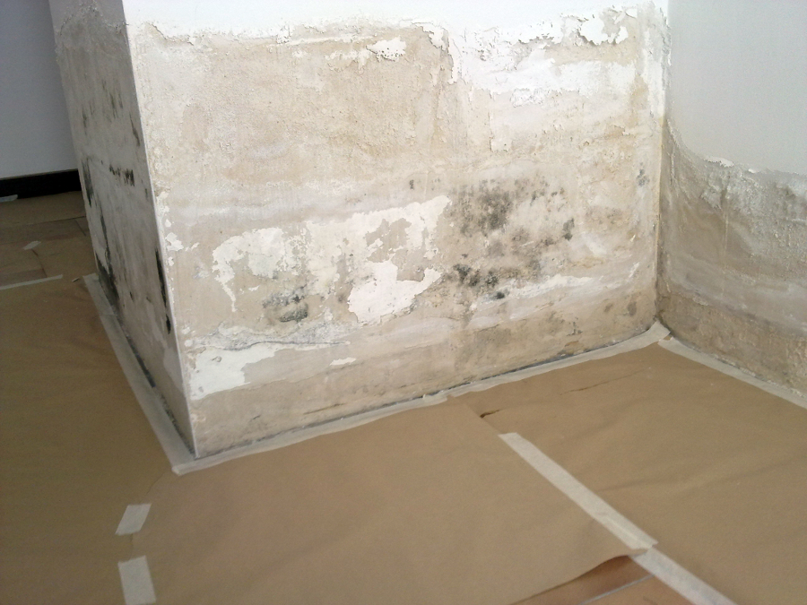 Tratamiento de humedades, mojo y hongos...