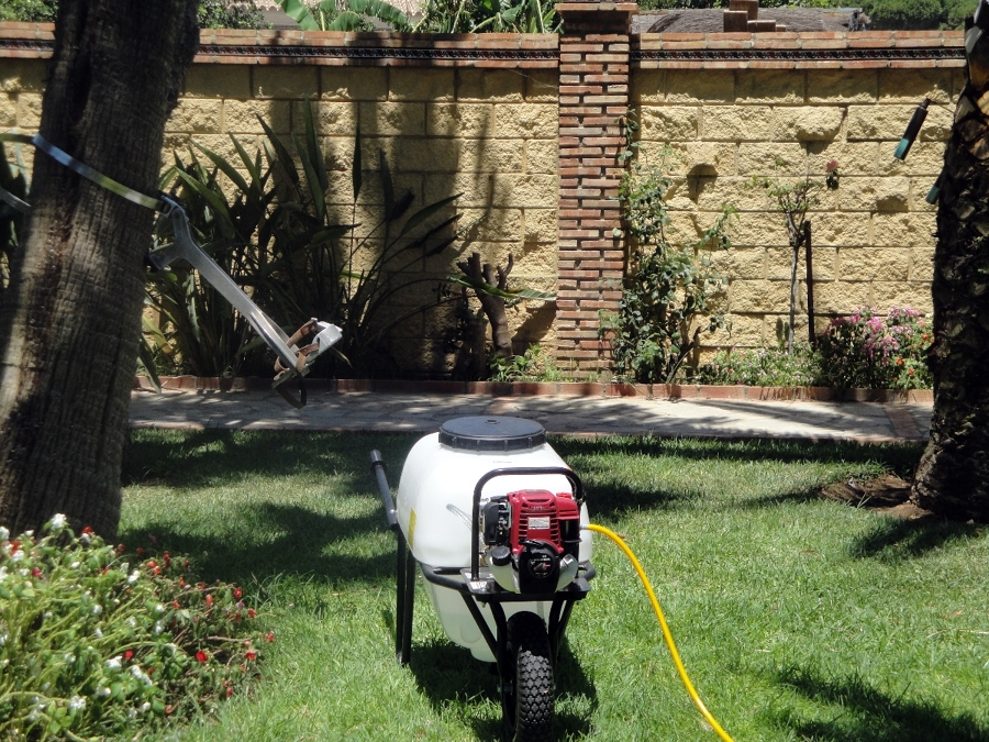 Tratamiento de la oruga procesionaria