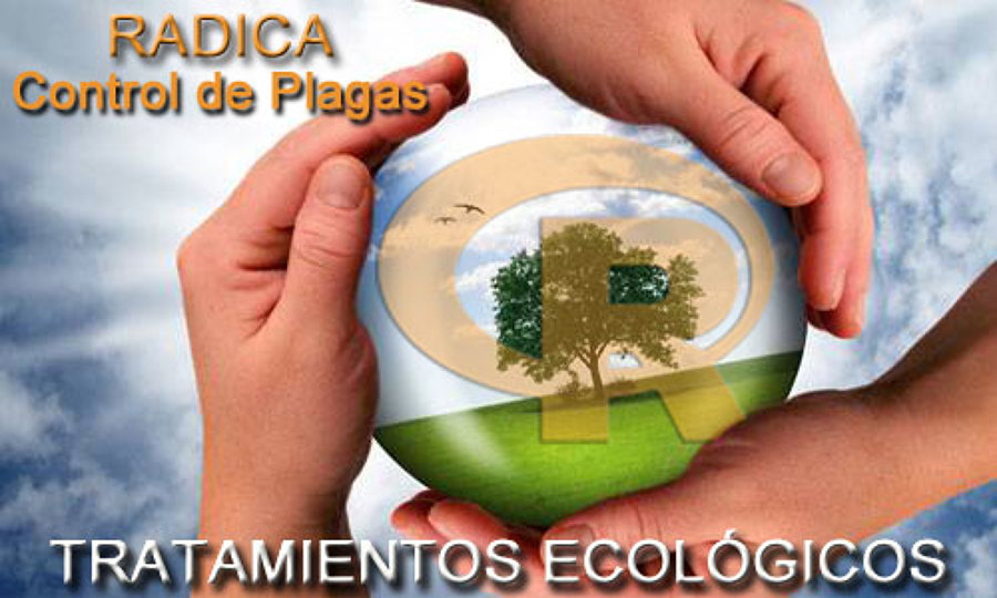 Tratamientos Ecológicos