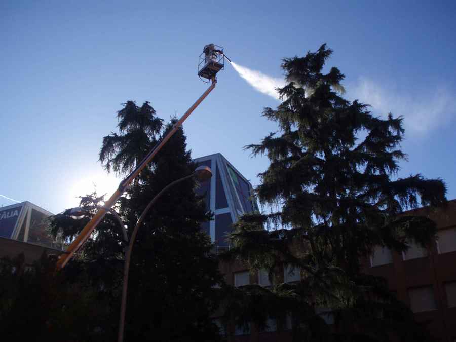 Tratamiento fitosanitario en árboles de gran porte