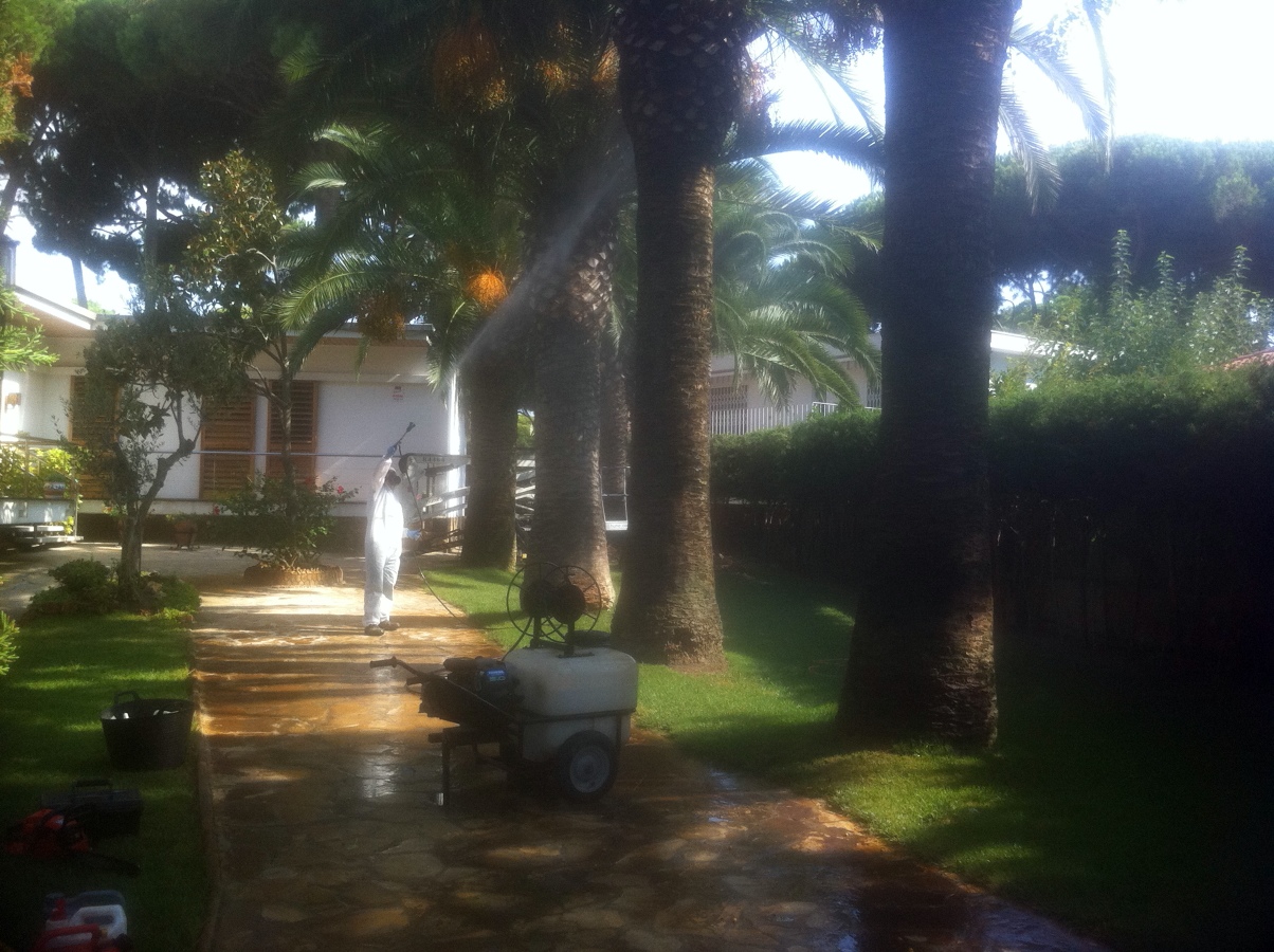 tratamientos fitosanitarios