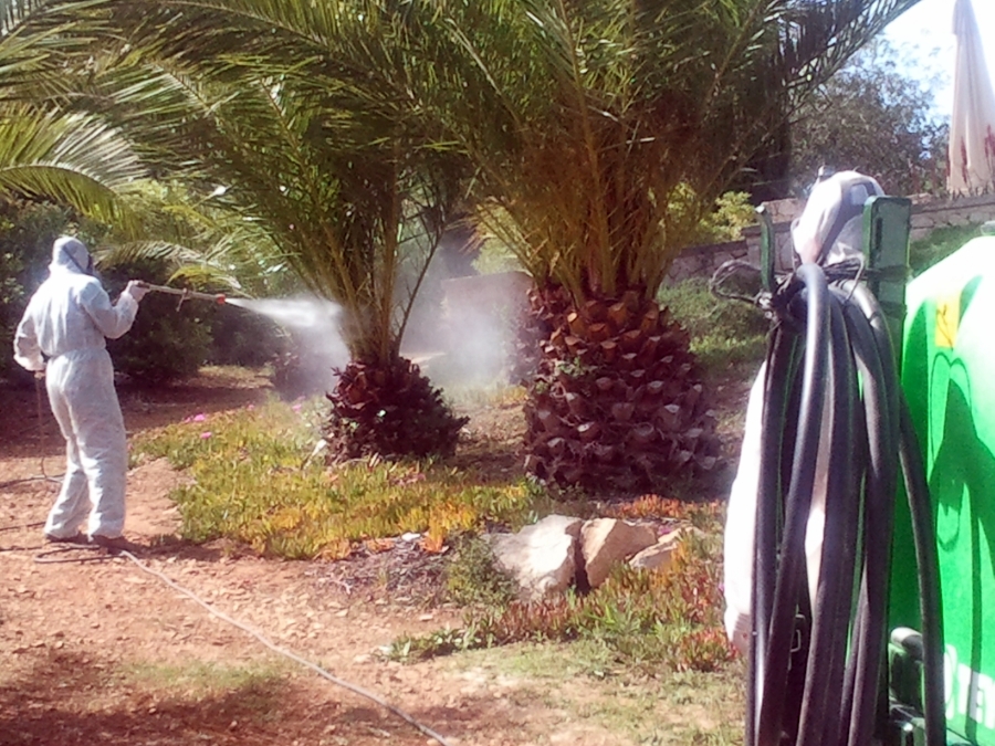 tratamientos fitosanitarios