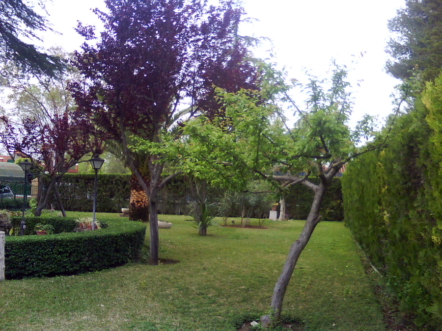 Un jardin con espacio