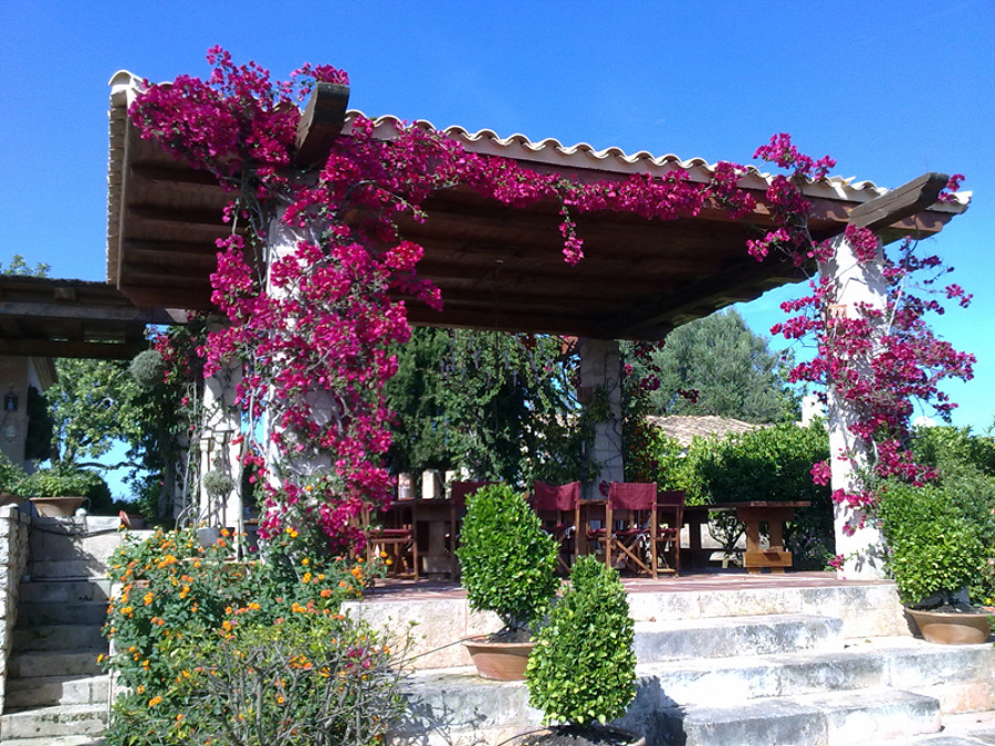 Una terraza para relajarse