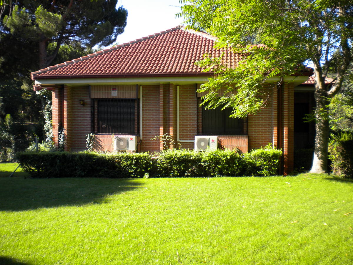 Unifamiliar Santa Brigida. replantacion y mantenimiento jardineria.