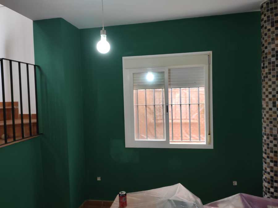 Pintura integral vivienda