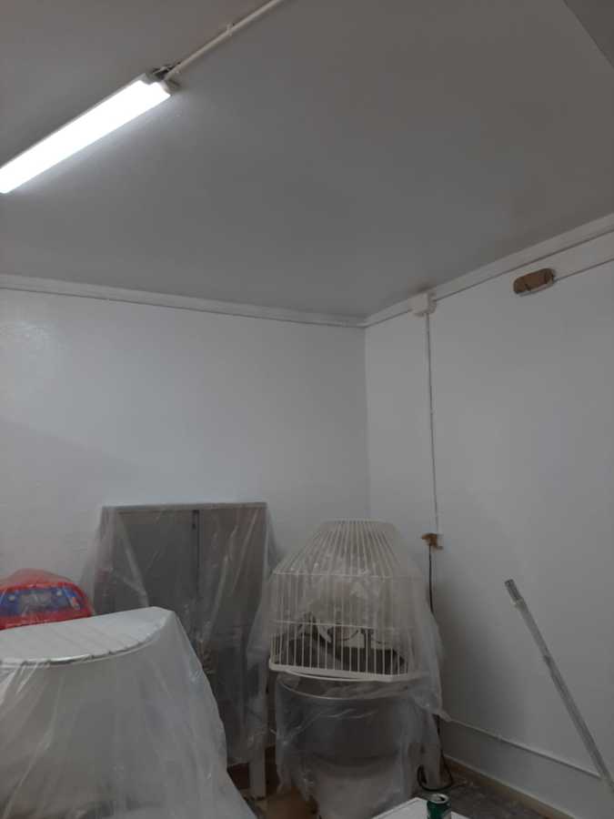 Pintura