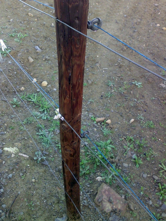 VALLADO ESPECIAL PARA  CABALLOS