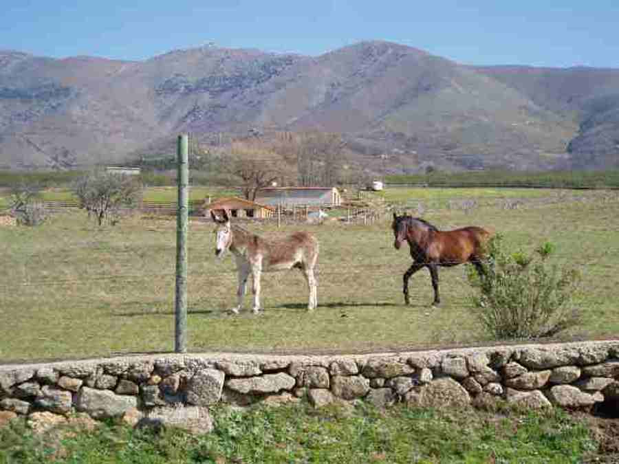 VALLAS DE PIEDRA Y MADERA
