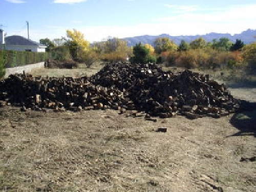 Venta de leña de encina