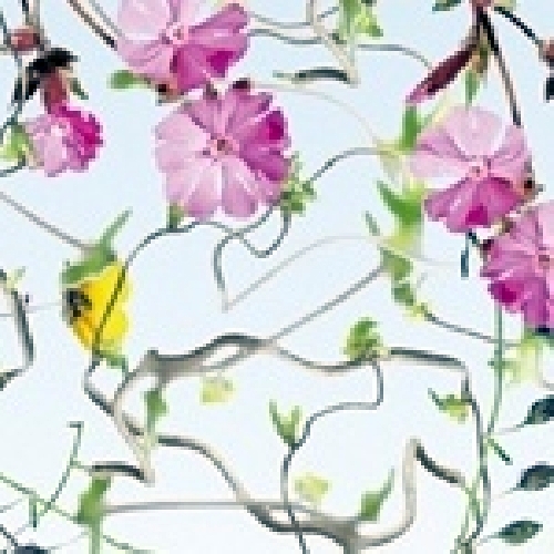 Venta de papel pintado, murales y vinilos decorativos Zarandona