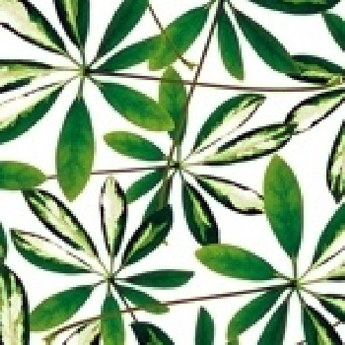 Venta de papel pintado, murales y vinilos decorativos Zarandona