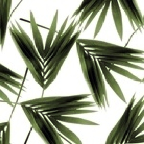 Venta de papel pintado, murales y vinilos decorativos Zarandona