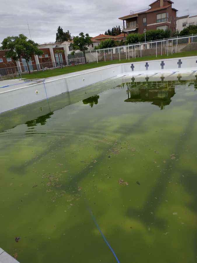PISCINA PREVIA A LOS TRABAJOS