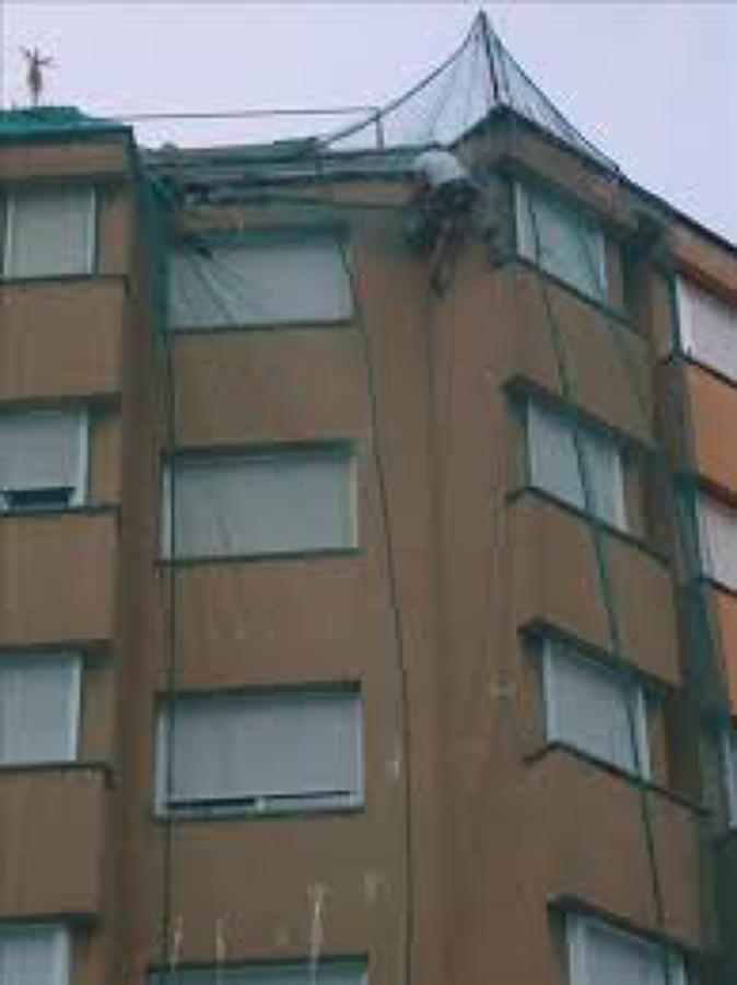 verticales
