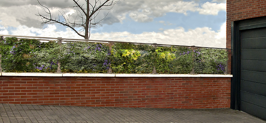 JARDIN VERTICAL AIR GARDEN | VILLA ROMA ITALIA