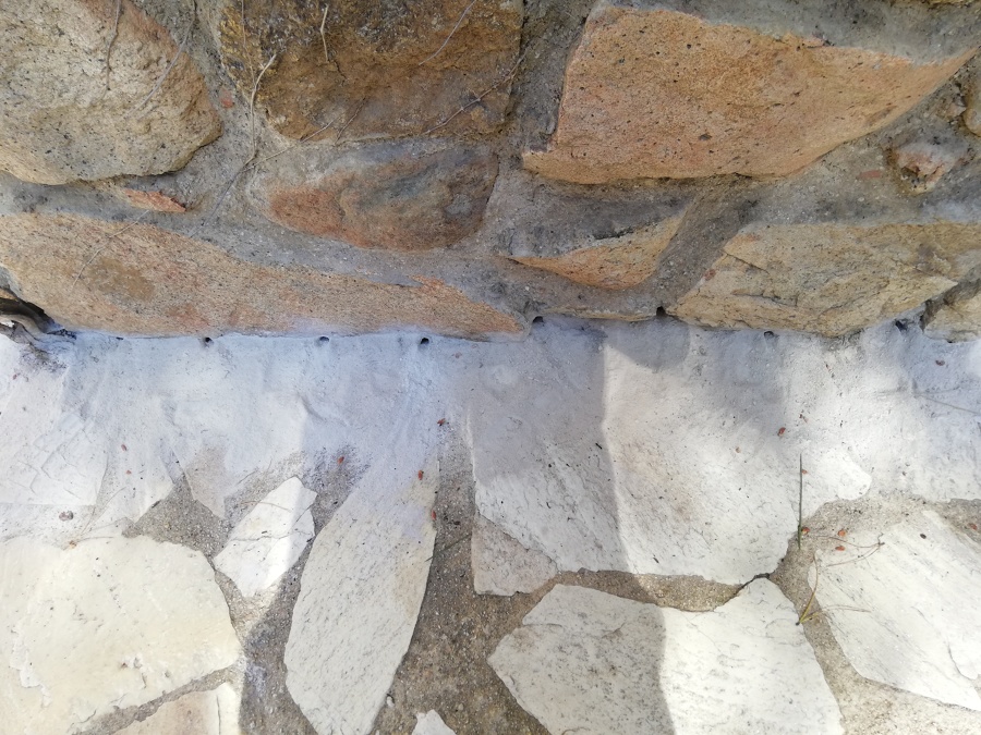 Tratamiento contra Termitas