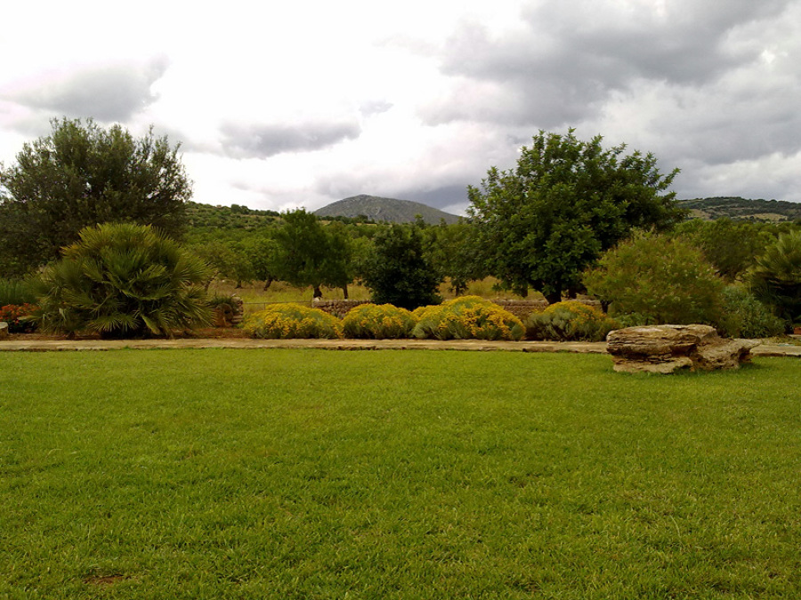 Vistas despejadas y zonas verdes bien cuidados
