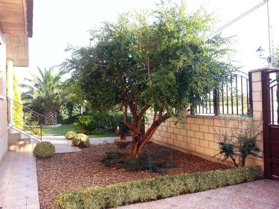 Vivienda en Marcilla, Entrada