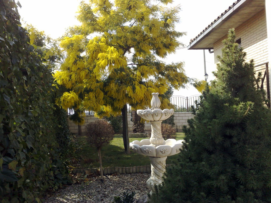 Vivienda en Marcilla, lateral