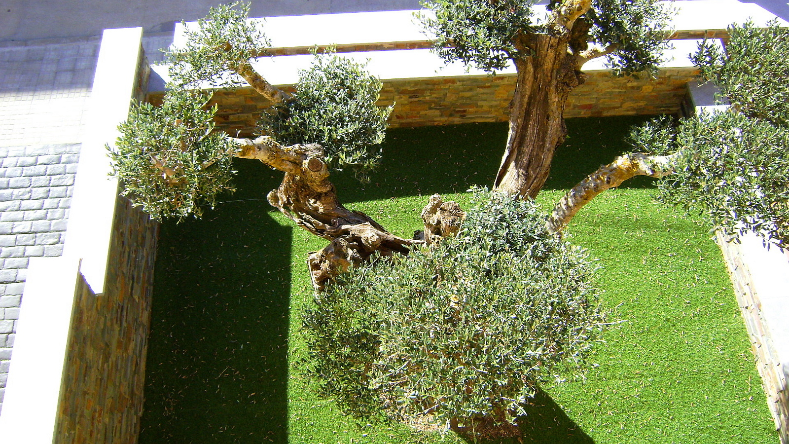 Vivienda unifamiliar aislada. Jardin 2