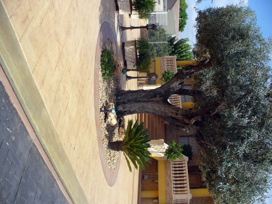 Vivienda Unifamiliar ( Chalet)