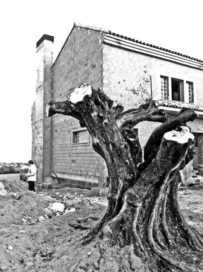 Vivienda unifamiliar en Montserrat