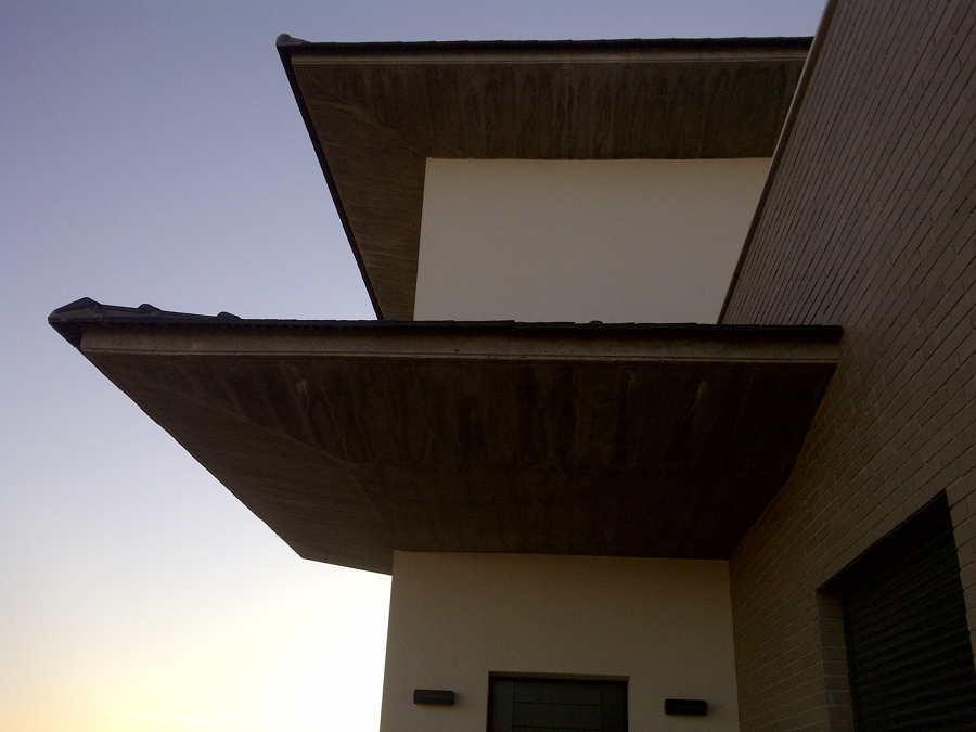 VUELOS HORMIGON VISTO