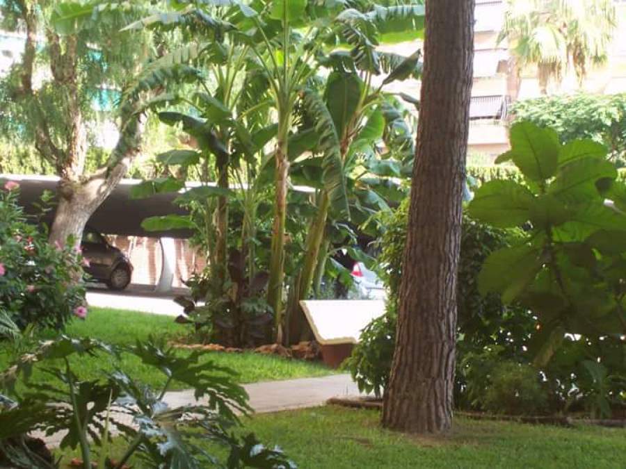 paisajismo y Jardinería