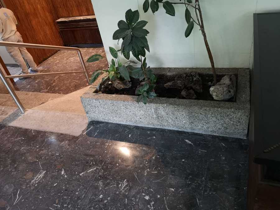 Limpieza general y abrillantado de hall de entrada portal