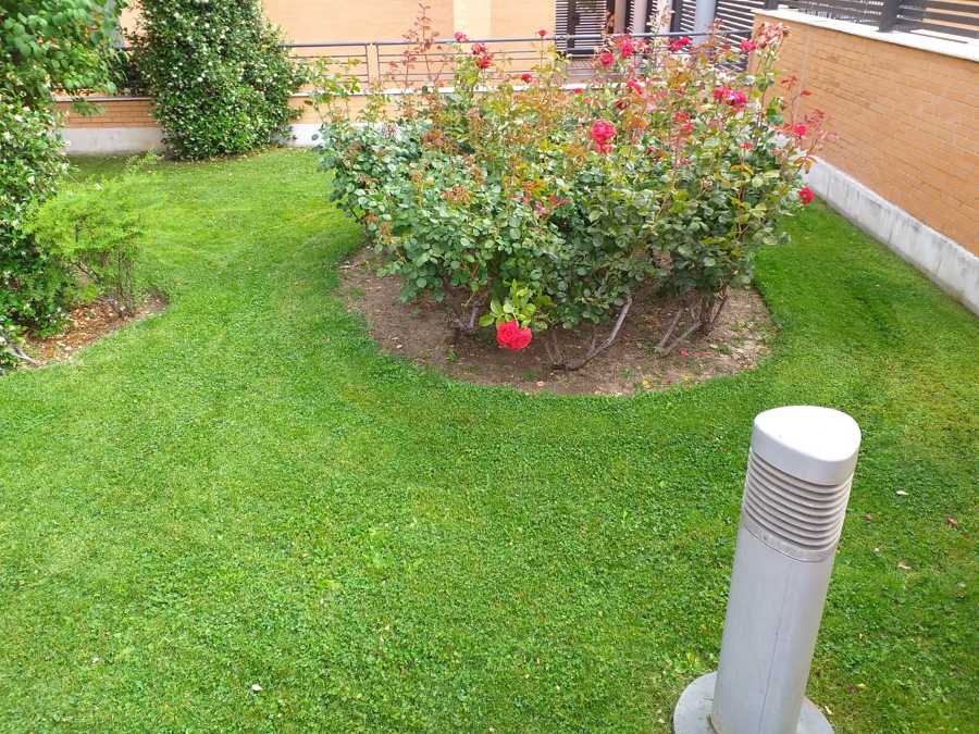 Mantenimiento semanal de jardineria